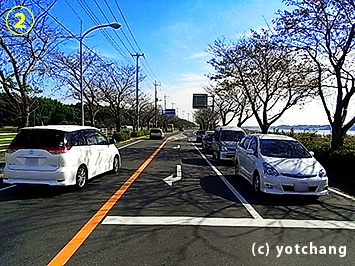 1キロ過ぎ　手賀沼ふれあいロード