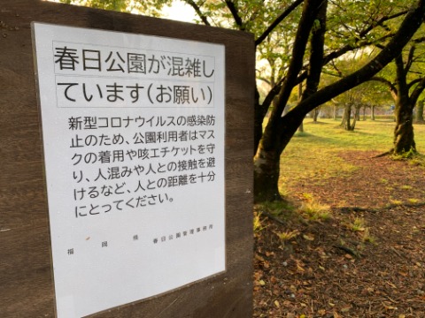 でも公園の掲示板には、消えてしまったイベントの開催予定表に替わって、こんな注意書きが･･･　たしかに早朝でさえ人出が増えています。かなり広い公園なんですが、それでも日中は混雑するのだと思います。　以前のような普通の生活は、いつ戻ってくるのでしょうか？