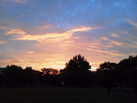 この写真は,今朝春日公園に着いたAM6:25頃の空です.広島や関西・関東ではもっと早く夜が明けているんでしょうね.