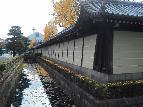 京都ツアー