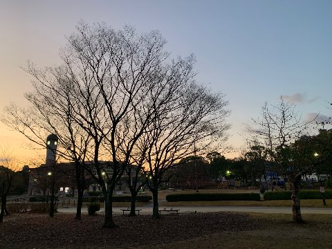 今朝は３℃。結構着込んでフルスピードで歩いても汗をかきませんでした。