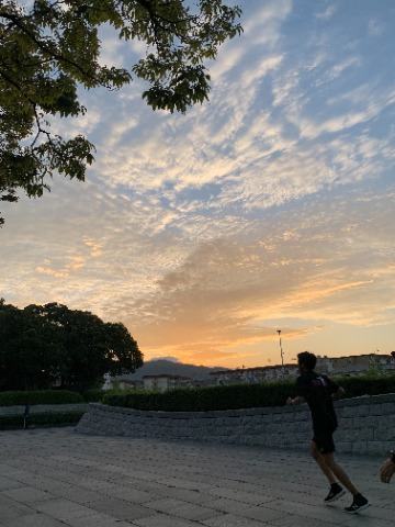秋らしく高くなった雲が朝日を受けて輝いています。