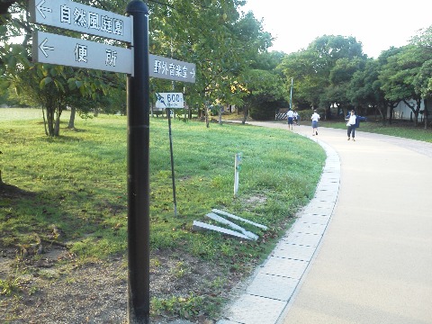 ここは春日公園600m地点です．ここいらの内側は大きな芝生広場です．