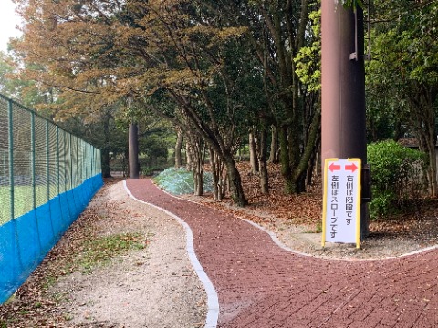 バタバタして写真を写せなかったので、先日の遊歩道をもう1枚。自然風庭園側の出入り口近くです。　今日もここを皆さんで通りました。