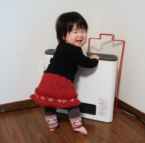 その園児さん、今日で11ヶ月になりました。行動範囲が広くなる一方で、寝ているとき以外はまったく目が離せず、あちこち触りまくるのを追いかけて連れ戻す毎日です。これもあともう少し･･･