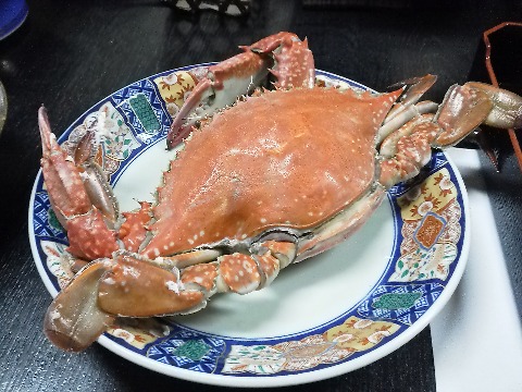 せっかくの記念写真?なのに,大きさがわかりませんね.結構大きかったんですよ.