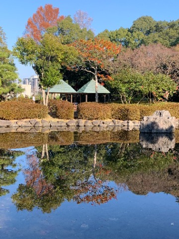 ボリビアのウユニ塩湖を思い出させる(って、行ったことないですが)風景をどうぞ。 モチノキの赤い実がきれいでした。