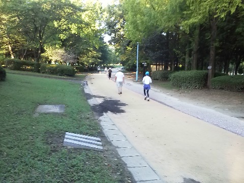 ここが春日公園コースの300m地点です.いつも何人かが歩いたり走ったりしています.