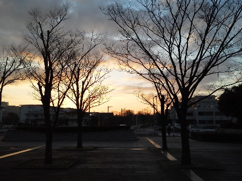 今朝の夜明け前の春日公園です.こんな光景がみられる時刻が,これからだんだん早くなるわけですね.