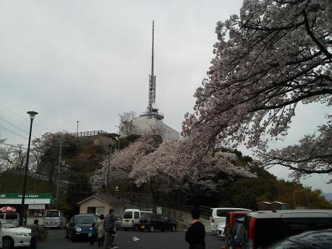 黄金山の頂上広場です．平日の午後にも関わらず車もいっぱいでした．