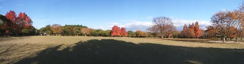さてこの写真、うまく見てもらえますかね？　パノラマ写真にチャレンジしてみました。　地球の丸さが分かるでしょ？（ウソです）