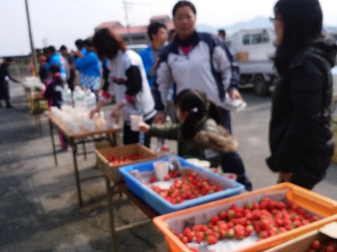 エイドネタが楽しみとの声を聞きましたので、ひどいピンボケですがこの１枚を。給水ならぬ名物の給いちごエイドです。紙コップでくれるのもありましたが、慎ましく２，３個いただきました。甘かったですよ。そうそう、ゴール後の貝汁もアサリが山ほど入ってました。