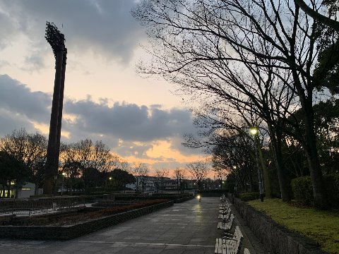 今朝の春日公園もかなり寒くて手が凍えました。