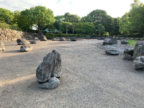 今日は春日公園のちょっと珍しい風景をご紹介しましょう。私は初めて見ました。 この石庭?のような景色、どこだかわかりますか? 自然風庭園の池なんですが、からからに干上がっています。 今朝は昨夜の大雨で少し水がたまっていたので、これはお盆ごろの写真です。 水がないと全然違って見えますね。