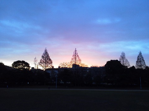 この写真は,今朝ではないのですが,このままお蔵入りもかわいそうなのでご紹介しますね.