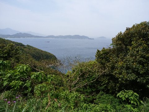 この写真は、ひとつ目の山からの眺めです。正面右寄りに見える半島の先っちょまで行って、また戻ってきます。午前中は晴れていて海の色がきれいでした。暑かったですけどね。