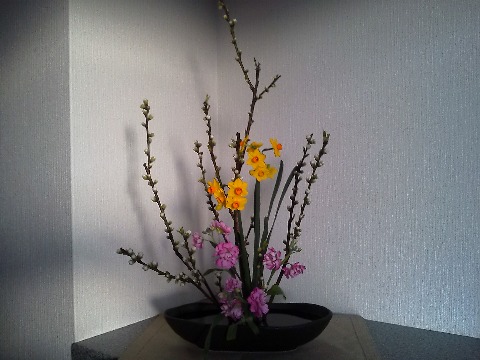 今回のお花，つぼみがたくさんついているのは，梅？それとも桃？　調べてみたら，特徴からは桃なんですが，色がねえ･･･　白色もあるそうですが，画像ではやっぱり薄いピンクです．こんな真っ白の桃もあるんでしょうか･･･？