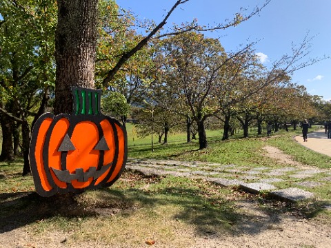 ハロウィーンのかぼちゃ、本来は夜がお似合いでしょうけど、青空の下でも楽しそうです。