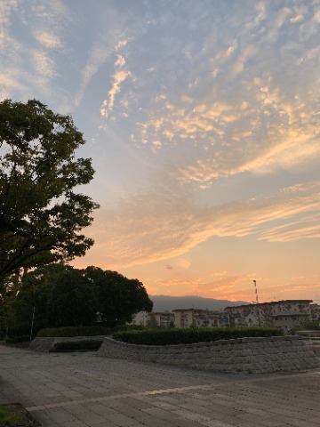 それでも雲はもう秋のようです。　高層雲が朝日を浴びて輝いていました。