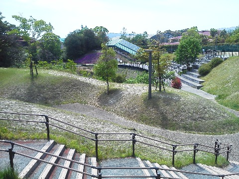 ここが三兼池公園です．この辺りはため池が多いので，こんなきれいな公園もあちこちにあります．