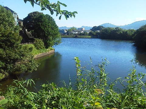 コースの途中で立ち寄った，太宰府歴史スポーツ公園です．久しぶりでしたが，天気が良くてきれいでした．