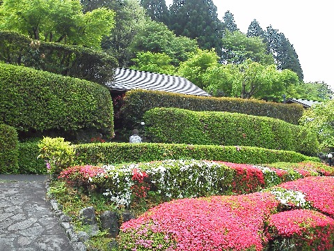 宿は，ログ山荘火の鳥．６組しか泊まれませんが，それぞれ独立した棟に露天風呂もついて，なかなか趣があります．今回は予定していた長男夫婦が急遽仕事で来れなくなって残念でした．