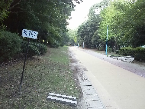 ここが春日公園コースの200m地点．このコースの内側３分の２くらいはクッションの効いた舗装なので，ベアフットランでも大丈夫そうです．