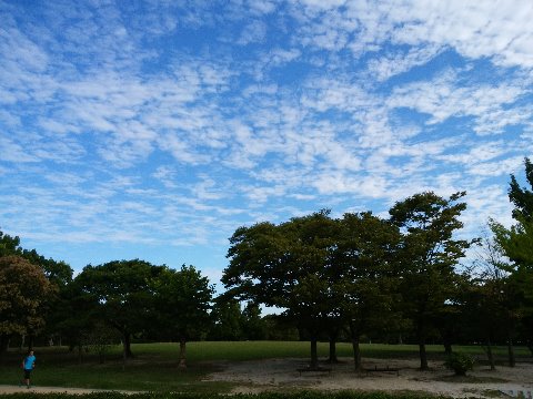 地上で私がどんな走りをしていようとそんなことには関わりなく、上空にはもうすっかり秋の空が広がっています。
