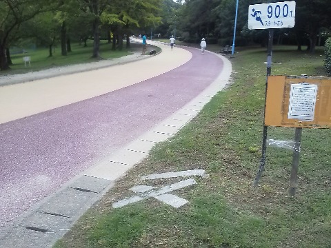 ここは春日公園900m地点です．この近くには「スズメバチ注意！」の表示もあります．