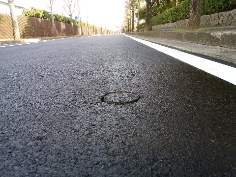 その外周沿いの道路。舗装と白線引きの工事が終わったところですが、路面のあちこちに直径10cmくらいの円があります。工事の完成検査なんですね。円柱状に切り取って断面をチェックするみたいです。舗装の厚さは15～20cmくらいあるんですね。