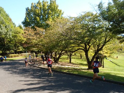 同じ公園内では筑紫地区の中学校の駅伝大会が開催され、大賑わいでした。　これは女子の部、たぶん１区間2kmくらいのコースのようでした。皆さん、えらく速いです。