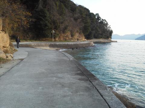 元宇品は,もともとは島ですが,短い橋でつながっています.その西側海岸では,こんな道が続きます.車は入れないので,釣り人やウォーキングの人たち,そして野良猫の天下です・・・