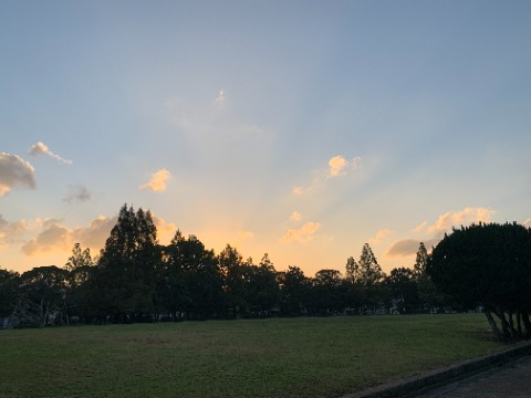 今日は天気予報でも1日中秋晴れの予報でした。 日の出数分前の東の空です。