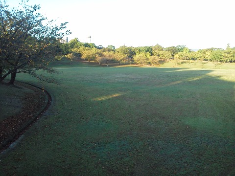 ここも春日公園内の広場ですが,案内板の絵ではここは水色になっています.芝生広場兼調整池なんだそうです.まだここに水がたまったのを見たことはありませんが・・・