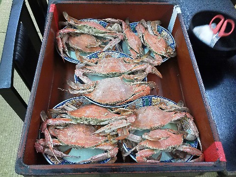午後からは，春にも行った佐賀県太良町へお出かけしました．竹崎蟹は冬の子持メスが有名ですが，夏は若いオスが身が締まって美味しいのだそうです．うちのグループでこれだけの茹で蟹を食べ尽くしましたが，他にも刺身・天ぷら・大吟醸蒸しと蟹三昧でした．