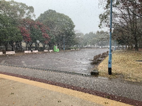 真っ白な雪景色なんてのはなかなか見られませんので、今日はこれで。