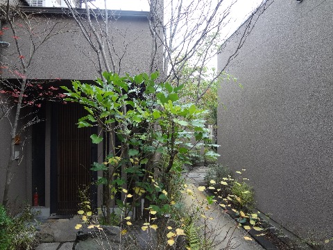 ここはその川棚温泉の宿，小天狗さんろじです．春日ダッシュの皆さんは聞きおぼえがあるかも･･･　数ヵ月前にSさんが泊まられたところですね．