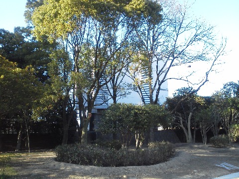 球技場の表示板の工事が終わったようで,よそへ一時引越していた木々も戻ってきました.