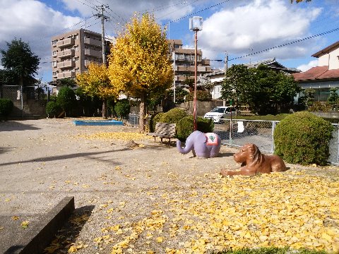 これは、うちのすぐ近くの公園です。イチョウの落ち葉がとてもきれいでした。