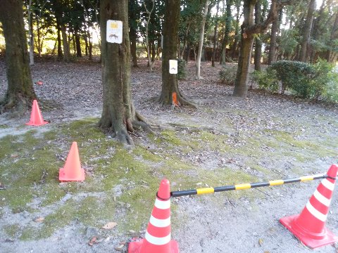 先週の土曜日にハチに刺されたエースさんのあんよは、走れる程度にまでは回復したそうで良かったです。　他の場所ですが周回路のすぐ脇でこんな表示があります。気をつけなきゃ、ですね。