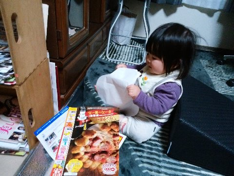 さて、我がG-Bar保育園の園児さん、今日で10ヶ月になりました。つかまり立ちをしたり前歯が生えてきたり、と順調な発育はうれしいのですが、カーペットはめくるはチラシを引っ張り出して角っこをかじるは、とまったく気が許せません。