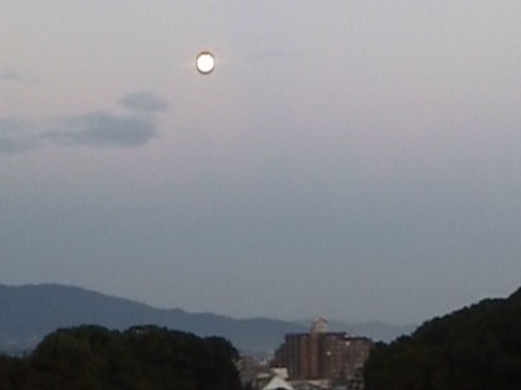 それよりももっとチャンスだったのは,今朝ですね.私が観たのはもう日の出直前だったので,明るさを増す日の光と競争でしたが,これもなかなか見事な月でした.