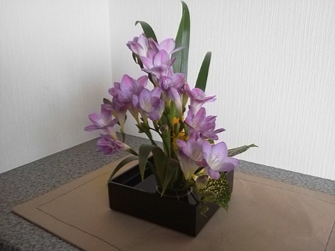 たまには家の中のお花もご紹介しましょう.薄紫色のフリージアです.