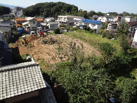 2か月前はこんな状態でした.