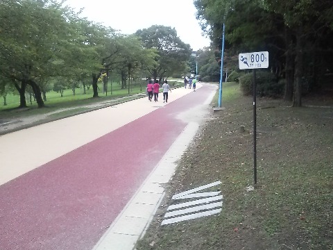 ここが春日公園800m地点です.ここからしばらくは表示がコースの右側になります.