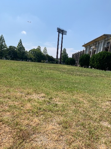 さてここは球技場前の芝生広場。12日の22時過ぎごろ、ちょうどこの辺りに娘・孫娘と3人で寝転がっていました。 お目当ては、そうペルセウス座流星群です。 去年は近くの奴国公園でダメでしたが、今回はなんとかチラッと見られてやれやれでした。