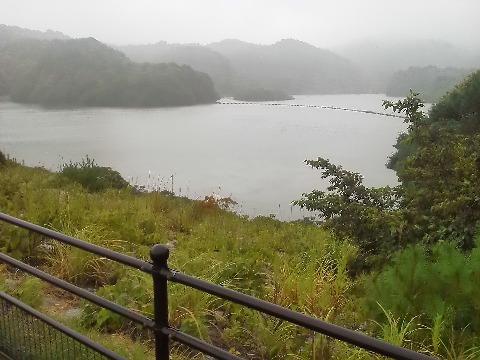 ダムのあたりではもう結構降っていましたが,そんな中でもダム湖を周回するおばさまトリオのランナーさんとすれ違いました.これは雨に霞むダム湖です.