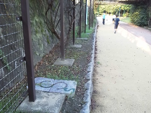 このSのマークが春日公園の周回コースのスタート地点です.