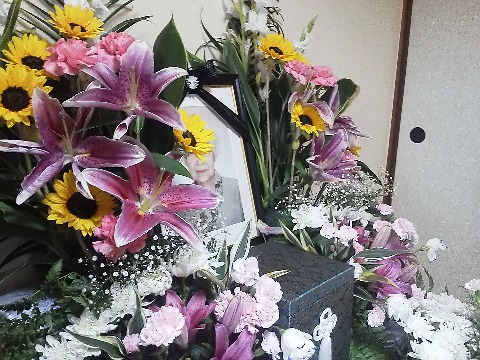 こちらでは，このように花に囲まれています．
