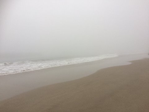 いつもは遠くに塩屋崎灯台が見えるけど、今朝は何も見えず白い靄の世界。 繰り返す波の音が心地よい。